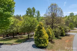 125 Pine Ridge Dr, Bostic, NC 28018 - Photo 38