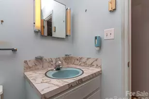 106 Mimosa Ln, Fort Mill, SC 29715 - Photo 12