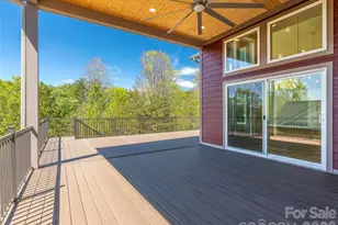 49 Al Dorf Dr, Weaverville, NC 28787 - Photo 4