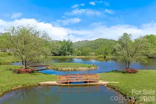 52 Mark Twain Rd, Asheville, NC 28805 - Photo 28