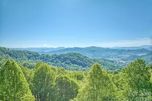 72 Tadpole Ln, Waynesville, NC 28785 - Photo 2