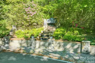 72 Tadpole Ln, Waynesville, NC 28785 - Photo 40