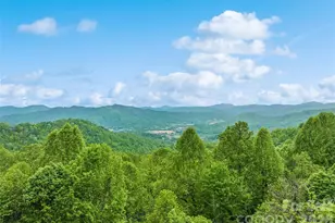 72 Tadpole Ln, Waynesville, NC 28785 - Photo 4