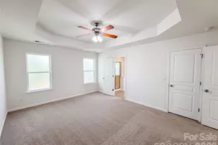 10225 Misty Moss Ct, Mint Hill, NC 28227 - Photo 4
