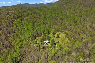 1717 Howard Moore Rd, Hot Springs, NC 28743 - Photo 40