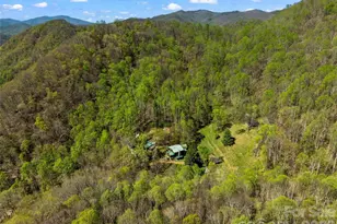 1717 Howard Moore Rd, Hot Springs, NC 28743 - Photo 38