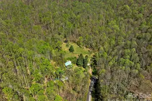 1717 Howard Moore Rd, Hot Springs, NC 28743 - Photo 42