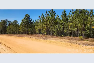 1050 McQueen Road, Patrick, SC 29584 - Photo 18