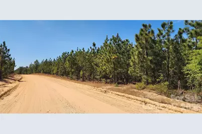 1050 McQueen Road, Patrick, SC 29584 - Photo 36