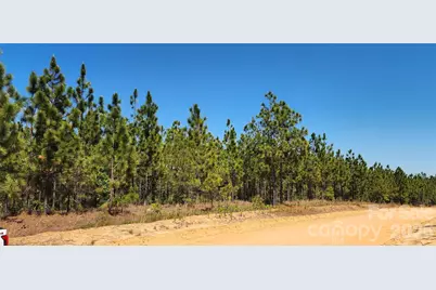 1050 McQueen Road, Patrick, SC 29584 - Photo 26
