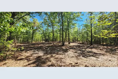 1050 McQueen Road, Patrick, SC 29584 - Photo 16