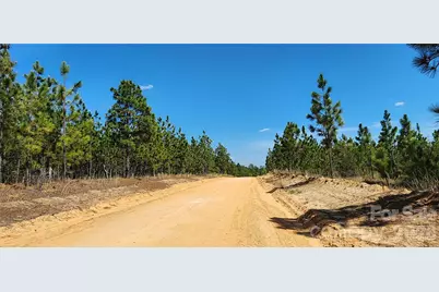 1050 McQueen Road, Patrick, SC 29584 - Photo 38