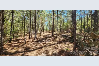 1050 McQueen Road, Patrick, SC 29584 - Photo 12