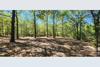 1050 McQueen Road, Patrick, SC 29584 - Photo 1