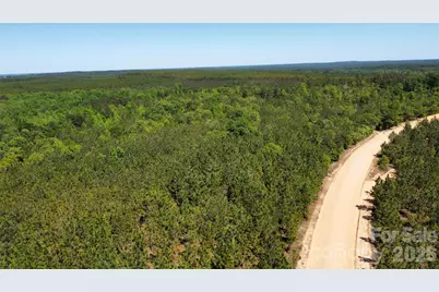1050 McQueen Road, Patrick, SC 29584 - Photo 28