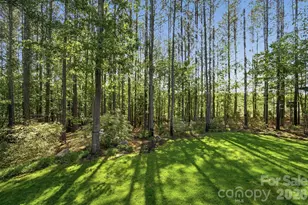 3105 Stanway Ct, Waxhaw, NC 28173 - Photo 38