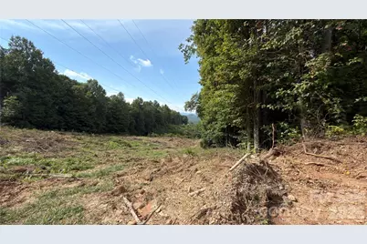1730 Fox Hollow Road, Pisgah Forest, NC 28768 - Photo 2