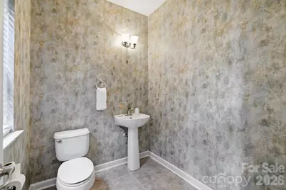 445 Buttermere Road, Fort Mill, SC 29715 - Photo 8