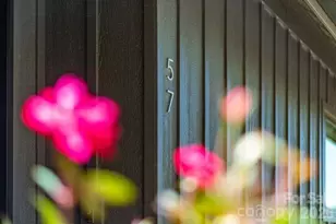 57 Mezzo Cove, Asheville, NC 28804 - Photo 28