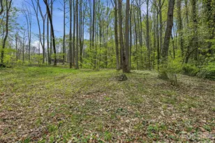 36 Dogwood Drive, Maggie Valley, NC 28751 - Photo 38