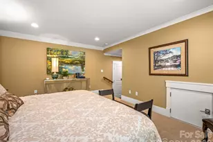 161 Linda Ann Dr, Flat Rock, NC 28731 - Photo 38