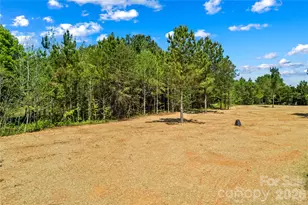 6016 Bridges St, Catawba, NC 28609 - Photo 40