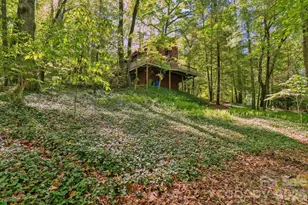 98 Skyline Dr, Hendersonville, NC 28791 - Photo 24