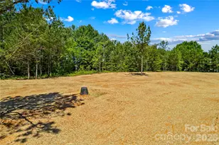 6028 Bridges St, Catawba, NC 28609 - Photo 36