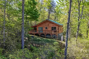 20 Laurel Cottage Ln, Black Mountain, NC 28711 - Photo 28