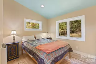 96 Old Cv Rd, Black Mountain, NC 28711 - Photo 12