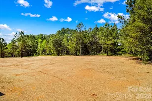 6040 Bridges St, Catawba, NC 28609 - Photo 36