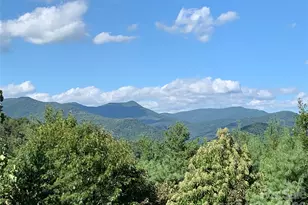 31 Bear Den Rd, Asheville, NC 28805 - Photo 16