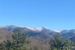 31 Bear Den Rd, Asheville, NC 28805 - Photo 14