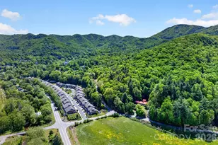 75 Old Lakey Gap Rd, Black Mountain, NC 28711 - Photo 46