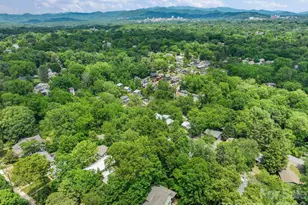 49 Greeley St, Asheville, NC 28806 - Photo 38