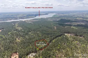 Tbd River Bluff Ln, Lilesville, NC 28091 - Photo 1