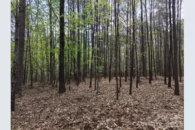 Tbd River Bluff Lane, Lilesville, NC 28091 - Photo 16