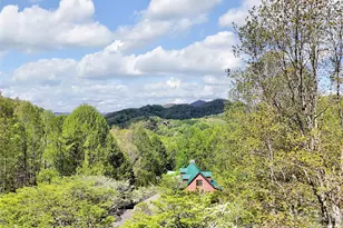 487 Julia Ln, Maggie Valley, NC 28751 - Photo 48