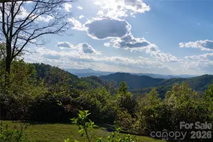 1412 N Bearwallow Rd, Fletcher, NC 28732 - Photo 30