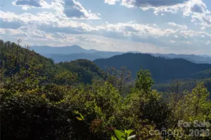 1412 N Bearwallow Rd, Fletcher, NC 28732 - Photo 2