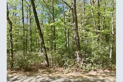 Lot 50 Huntington Road #50, Lake Lure, NC 28746 - Photo 10
