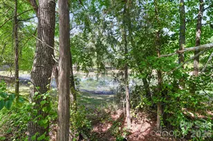 13339 Mint Lake Dr, Matthews, NC 28105 - Photo 28