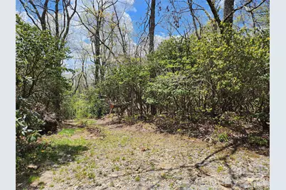 929 Pine Ridge Road, Hendersonville, NC 28792 - Photo 4