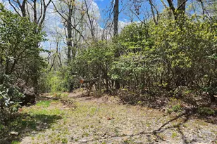 929 Pine Ridge Rd, Hendersonville, NC 28792 - Photo 4