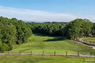 960 Middle Connestee Trail, Brevard, NC 28712 - Photo 42