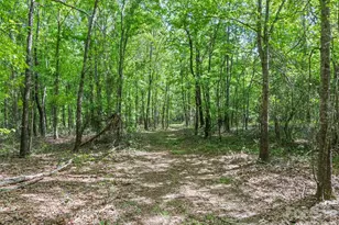 311 Soco Gap Rd, Ellenboro, NC 28040 - Photo 12