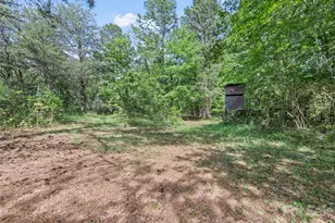 311 Soco Gap Rd, Ellenboro, NC 28040 - Photo 14