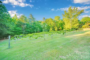 1171 Hilldale Dr, Lancaster, SC 29720 - Photo 42