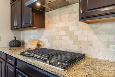 15417 Cimarron Hills Lane, Charlotte, NC 28278 - Photo 10