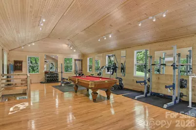 295 Dills Road, Bryson City, NC 28713 - Photo 6